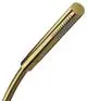 AXOR-HG-AXOR-Starck-Stabhandbrause-1jet-EcoSmart-Polished-Gold-Optic-10531990 gallery number 1